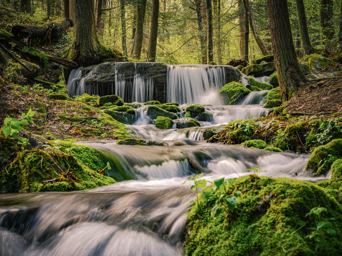 Landscape Photography